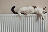 Cele mai eficiente tipuri de calorifere pentru încălzirea locuinței