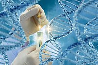 Testele genetice neinvazive - cum se desfășoară și ce informații pot oferi?