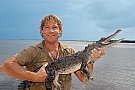 Steve Irwin, vanatorul de crocodili