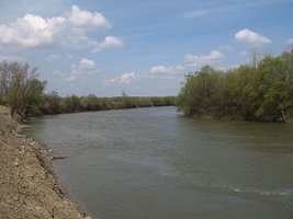 Râul Prut